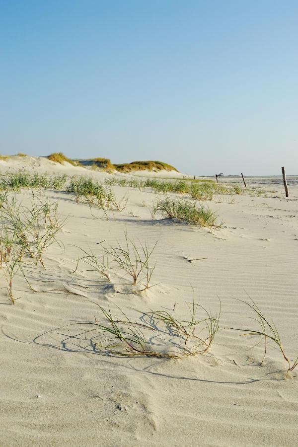 Апартаменты Ferienhus #1 Nordfriesland Mildstedt Экстерьер фото